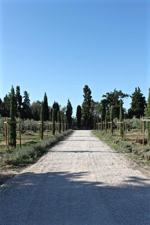 Domaine De Fontbelle Bed & Breakfast Graveson Exterior foto