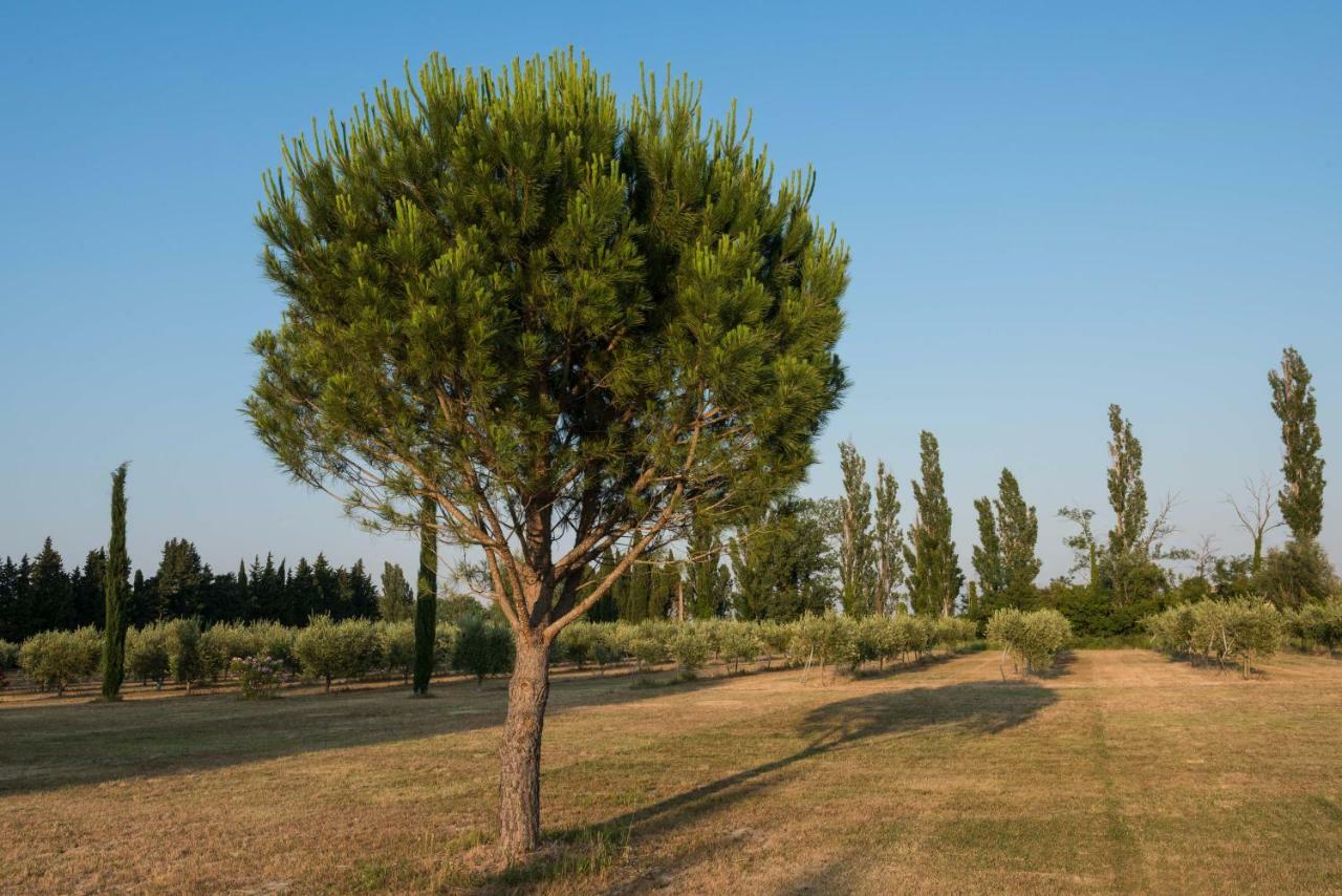 Domaine De Fontbelle Bed & Breakfast Graveson Exterior foto